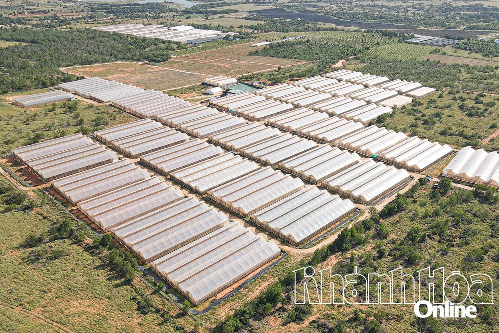 Sản xuất nông sản hữu cơ và tuần hoàn