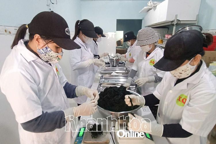 Phường Đông Ninh Hòa: : Phụ nữ đồng hành hỗ trợ nhau phát triển